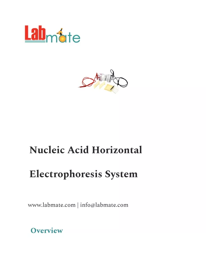 nucleic acid horizontal