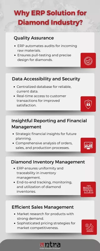 Tntra’s Integrated ERP Solution for a Leading Diamond Company