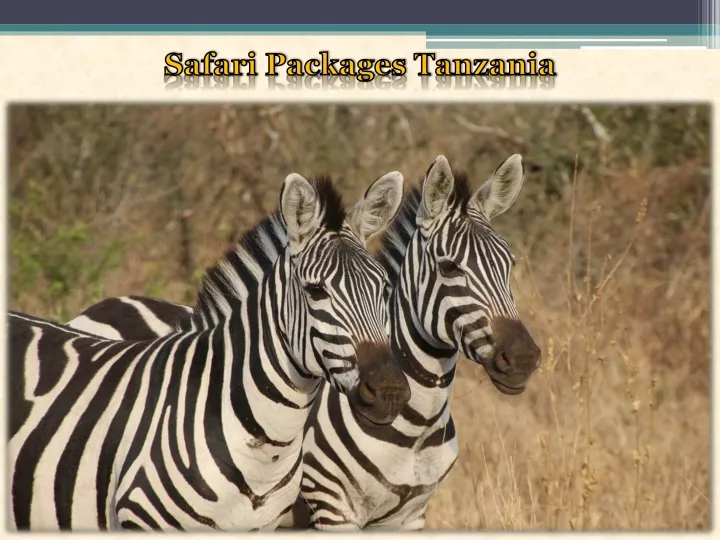 safari packages tanzania