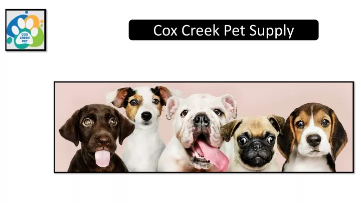 cox creek pet supply