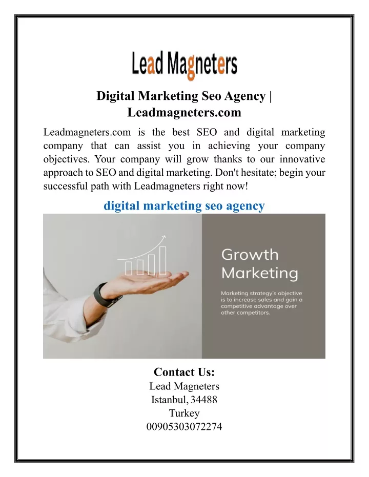 digital marketing seo agency leadmagneters com