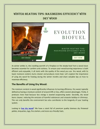 Winter Heating Tips Maximizing Efficiency with Dry Wood