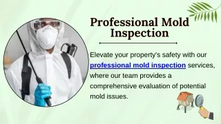 Professional Mold Inspection