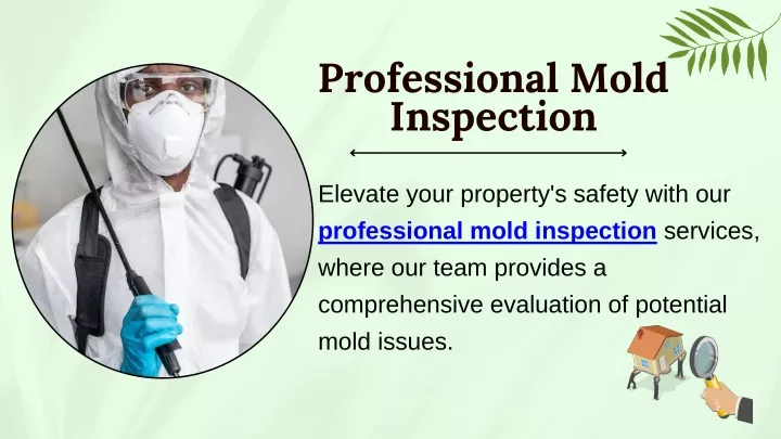 professional mold inspection