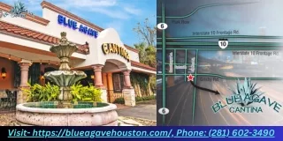 Affordable Mexican Foodsin Houston: Cheap Deals for Mexican-  Blue Agave Cantina
