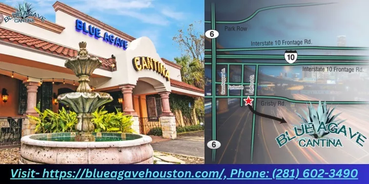 visit https blueagavehouston com phone