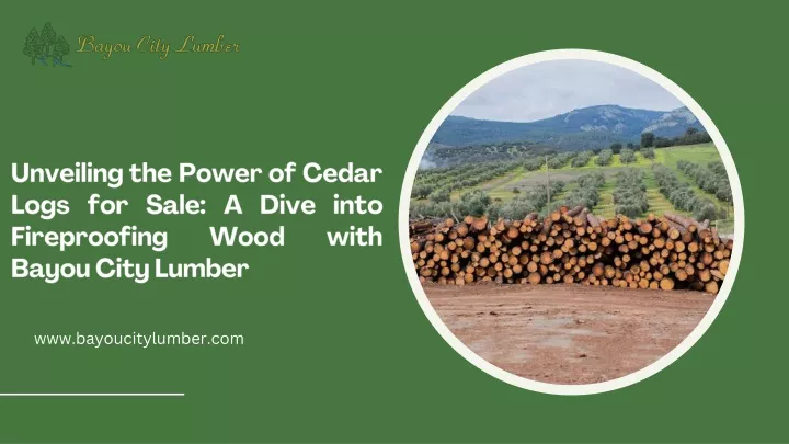 unveiling the power of cedar logs for sale a dive