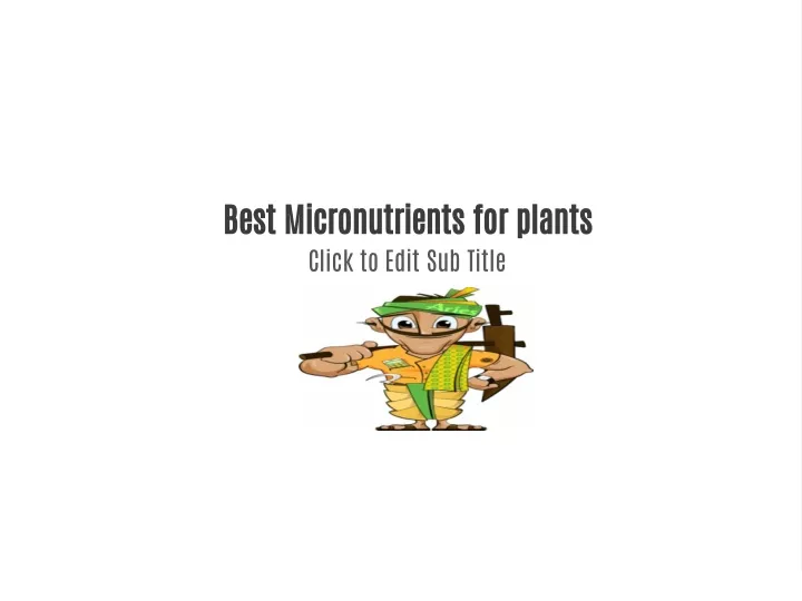 best micronutrients for plants click to edit