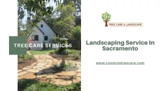 Landscaping Service In Sacramento - Cisnerostreecare.com