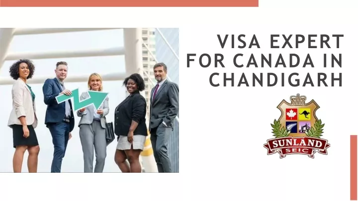 visa expert for canada in chandigarh