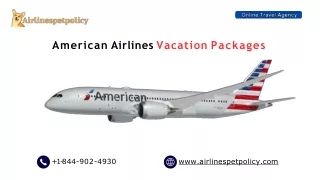 What are American Airlines Vacation Packages?