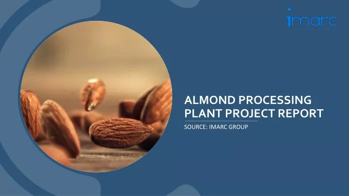 almond processing plant project report