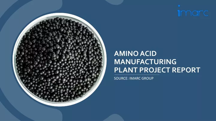 amino acid manufacturing plant project report