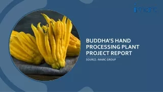 buddha s hand processing plant project report