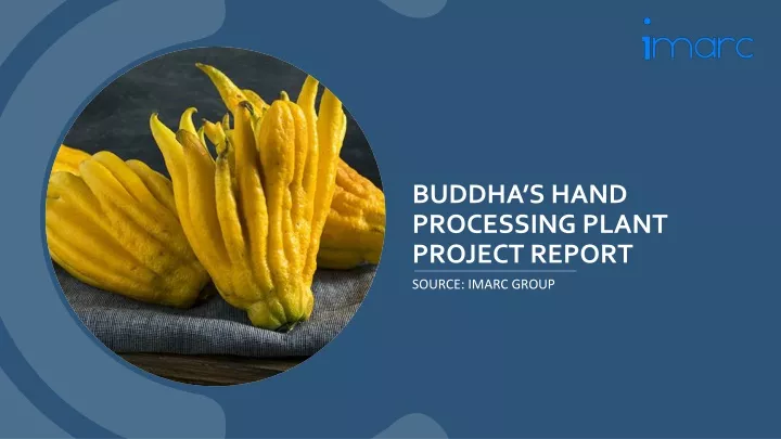 buddha s hand processing plant project report