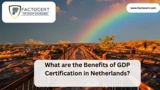 What are the benefits of GDP certification in Netherlands?