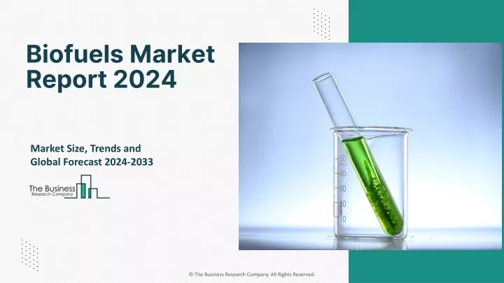 biofuels market report 2024