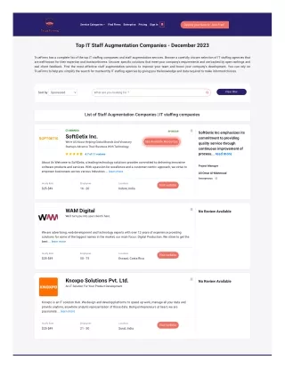 Top IT Staff Augmentation Companies - Truefirms