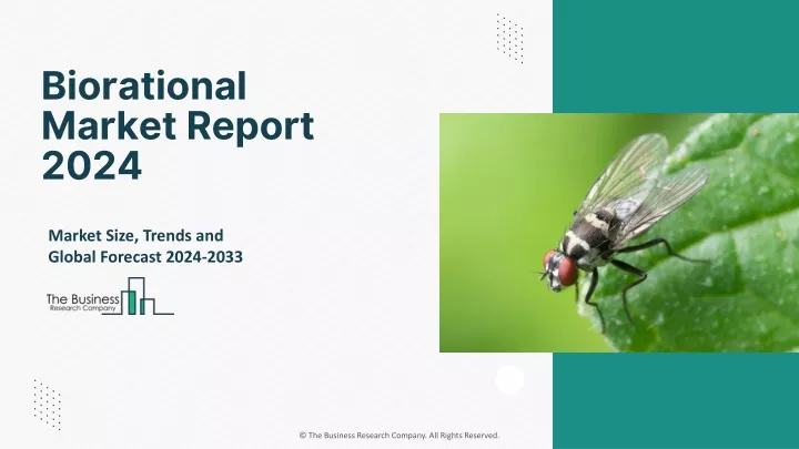 biorational market report 2024