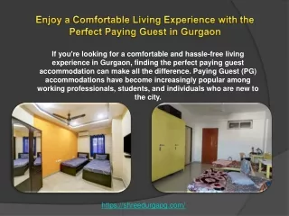 Enjoy a Comfortable Living Experience with the Perfect Paying Guest in Gurgaon