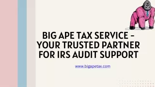 Big Ape Tax Service - Your Trusted Partner for IRS Audit Support