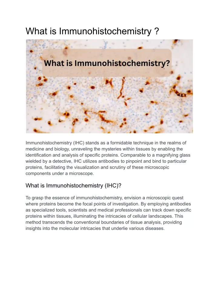 what is immunohistochemistry