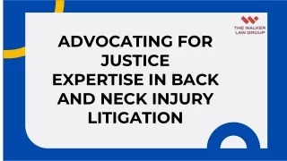 Expertise in Back and Neck Injury Litigation : Guide to Success