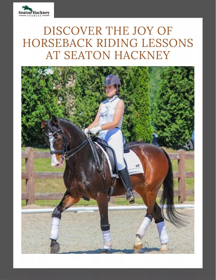 discover the joy of horseback riding lessons