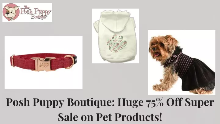 posh puppy boutique huge 75 off super sale