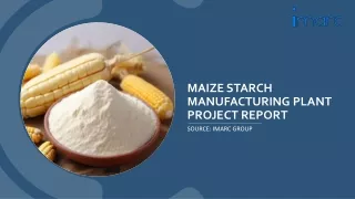 Maize Starch Manufacturing Plant Project Report 2024 Edition | IMARC Group