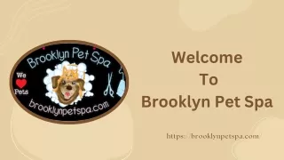 Professional Dog Grooming