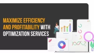 Maximize Efficiency & Profitability With Optimization Services