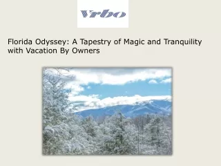 Florida Odyssey A Tapestry of Magic and Tranquility with Vacation By Owners