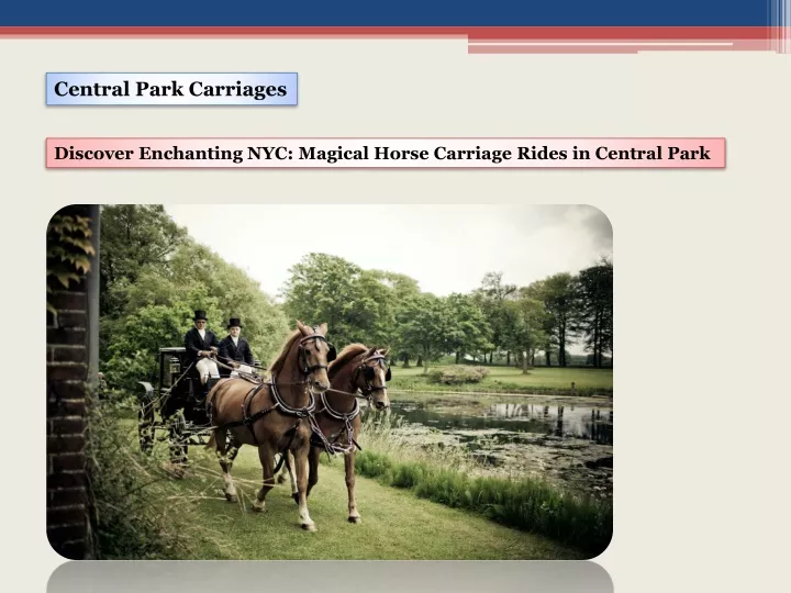 central park carriages