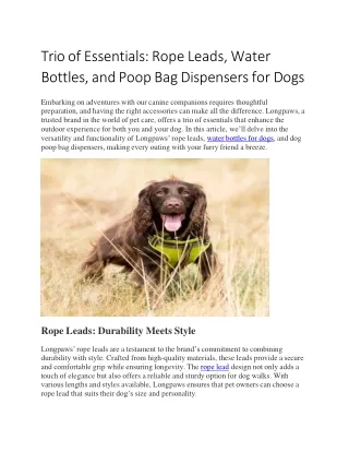 Trio of Essentials- Rope Leads, Water Bottles, and Poop Bag Dispensers for Dogs