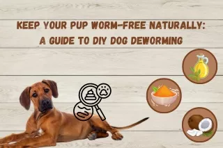 Keep Your Pup Worm-Free Naturally A Guide to DIY Dog Deworming