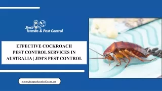 Effective Cockroach Pest Control Services in Australia  Jim's Pest Control