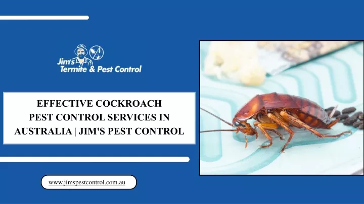effective cockroach pest control services
