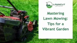 Lawn Mowing Service Auckland