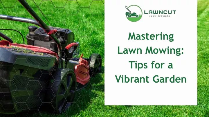 mastering lawn mowing tips for a vibrant garden