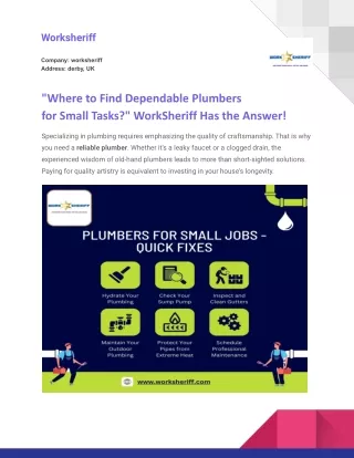 "Where to Find Dependable Plumbers for Small Tasks?" WorkSheriff Has the Answer!