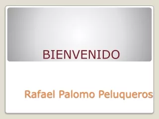 rafael palomo peluqueros