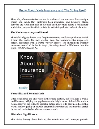 Know About Viola Insurance and The String Itself