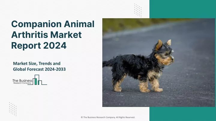 companion animal arthritis market report 2024