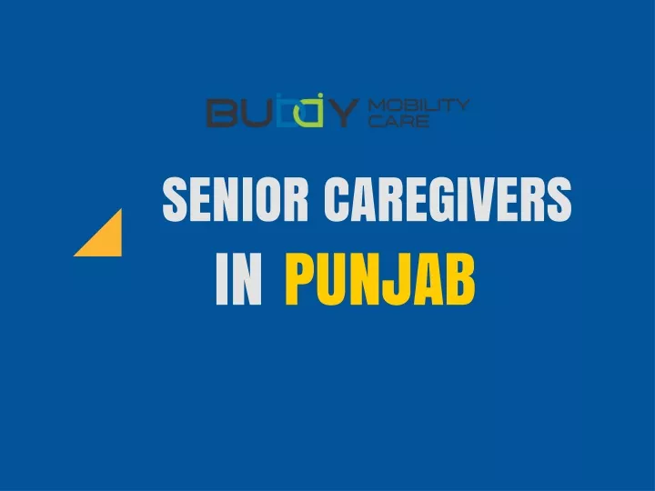 senior caregivers in punjab