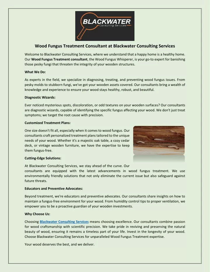 wood fungus treatment consultant at blackwater