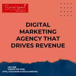 Best digital marketing agency in Raipur