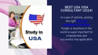 Best USA visa consultant (2024)