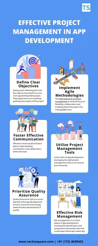 effective project management in app development