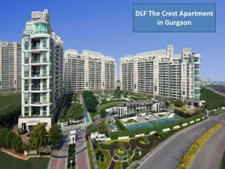 DLF Crest Apartment for Rent in Gurgaon
